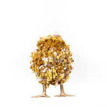 Load image into Gallery viewer, Little Wilma Jean