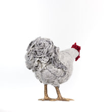 Load image into Gallery viewer, Little Loxley