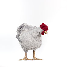 Load image into Gallery viewer, Little Loxley