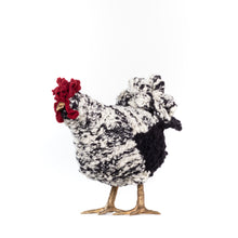 Load image into Gallery viewer, Little Ricardo