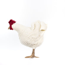 Load image into Gallery viewer, Little Lilly Belle