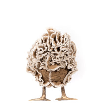 Load image into Gallery viewer, Little Flannery