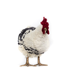 Load image into Gallery viewer, Little Wendy