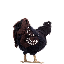 Load image into Gallery viewer, Little Lordi