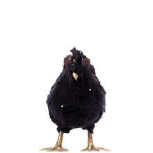 Load image into Gallery viewer, Little Lordi