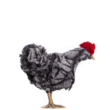 Load image into Gallery viewer, Little Kissy