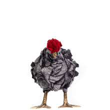 Load image into Gallery viewer, Little Kissy