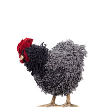 Load image into Gallery viewer, Little Raisin