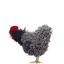 Load image into Gallery viewer, Little Raisin