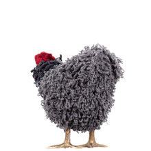 Load image into Gallery viewer, Little Raisin