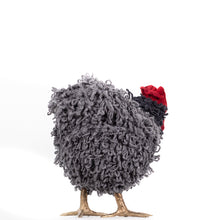 Load image into Gallery viewer, Little Raisin