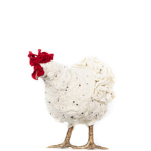 Load image into Gallery viewer, Little Sammie