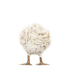 Load image into Gallery viewer, Little Sammie