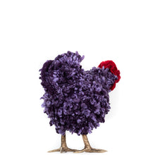 Load image into Gallery viewer, Little Ione