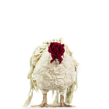 Load image into Gallery viewer, Little Filigree