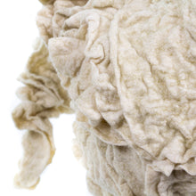 Load image into Gallery viewer, Little Glory