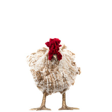 Load image into Gallery viewer, Little Astra