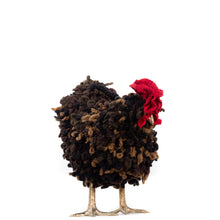 Load image into Gallery viewer, Little Milt