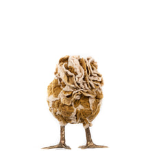 Load image into Gallery viewer, Little Alina