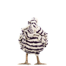 Load image into Gallery viewer, Little Ford