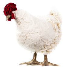 Load image into Gallery viewer, Barbara Jean