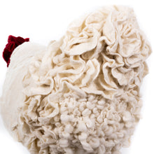 Load image into Gallery viewer, Barbara Jean