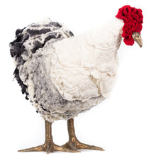 Load image into Gallery viewer, Anne Bonny