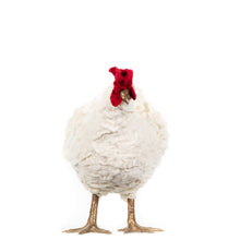 Load image into Gallery viewer, Little Skully