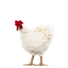 Load image into Gallery viewer, Little Skully