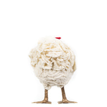 Load image into Gallery viewer, Little Skully