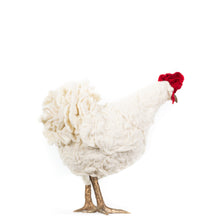 Load image into Gallery viewer, Little Skully