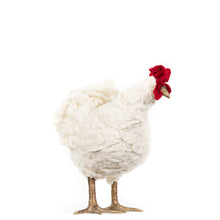 Load image into Gallery viewer, Little Skully