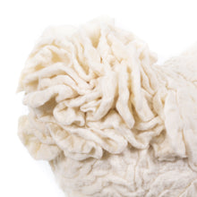 Load image into Gallery viewer, Little Skully