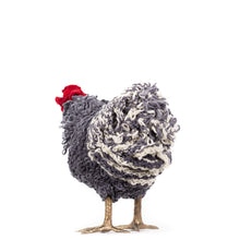 Load image into Gallery viewer, Little Lucky