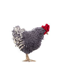 Load image into Gallery viewer, Little Lucky