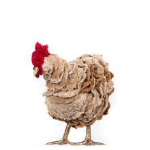 Load image into Gallery viewer, Little Bailey