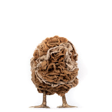 Load image into Gallery viewer, Little Bailey