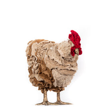 Load image into Gallery viewer, Little Bailey