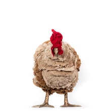 Load image into Gallery viewer, Little Bailey