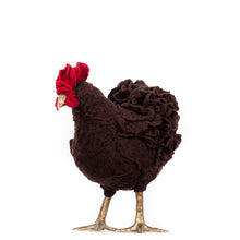 Load image into Gallery viewer, Little Kava