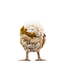 Load image into Gallery viewer, Little Emily Nicole