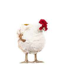 Load image into Gallery viewer, Little Emily Nicole