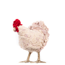 Load image into Gallery viewer, Little Emily Paige