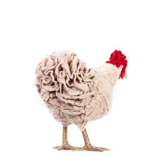 Load image into Gallery viewer, Little Emily Paige