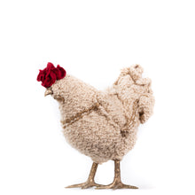 Load image into Gallery viewer, Little Emily Rose