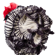 Load image into Gallery viewer, Little Maru