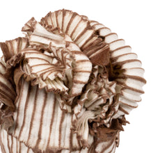 Load image into Gallery viewer, Little Amalana