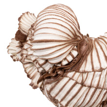 Load image into Gallery viewer, Little Amalana