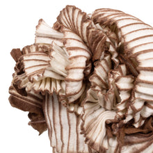 Load image into Gallery viewer, Little Amalana