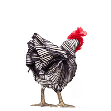 Load image into Gallery viewer, Little Belén